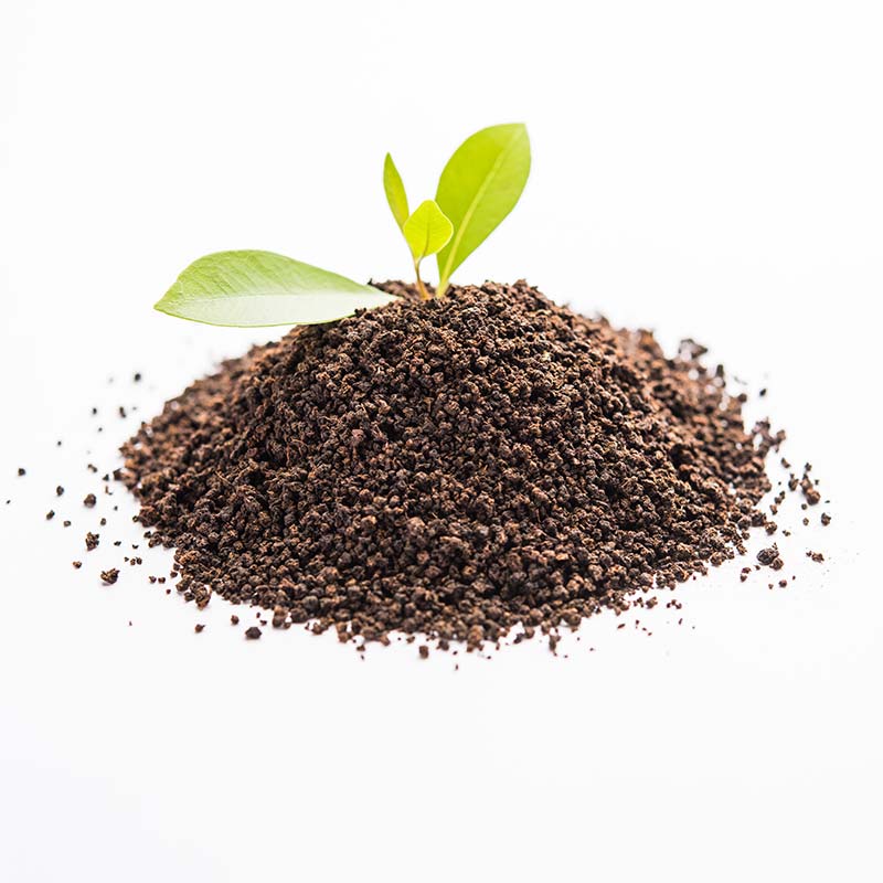 Pyramid Bag Packing Machine with Outer Bag